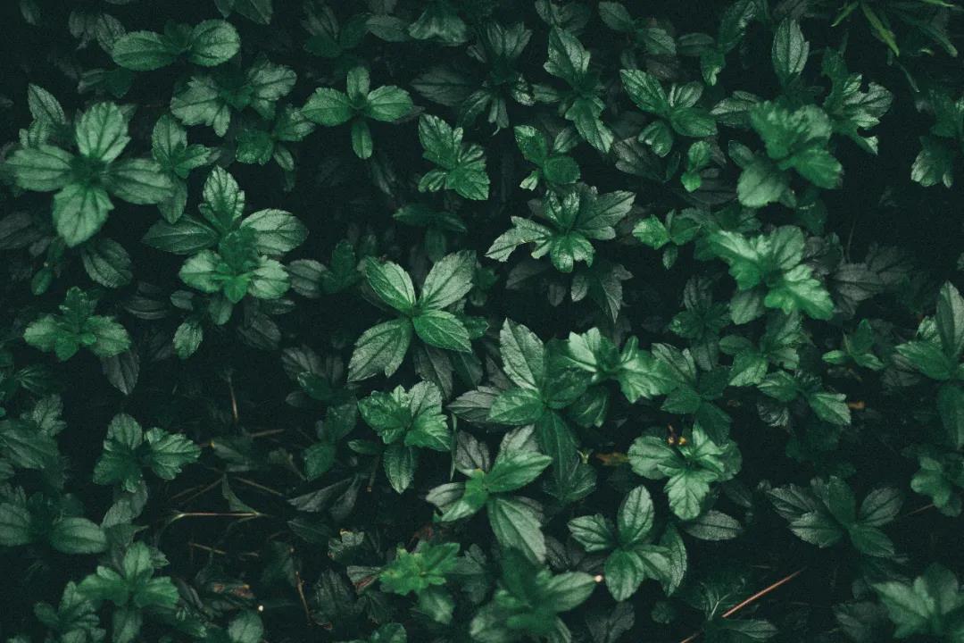 20201026114570367036.jpg