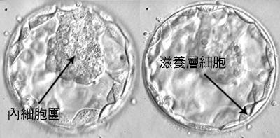 b7a509c8-fe86-4faf-8ce4-89eb104712ef.jpg