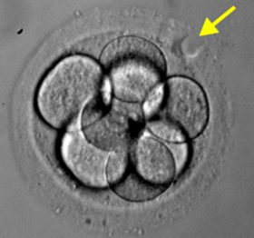 0eb1ef17-f860-4990-a01c-35e6cfb81dda.jpg